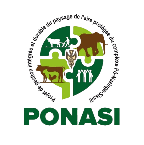 ponasi.png